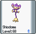 An aipom named Shiodome